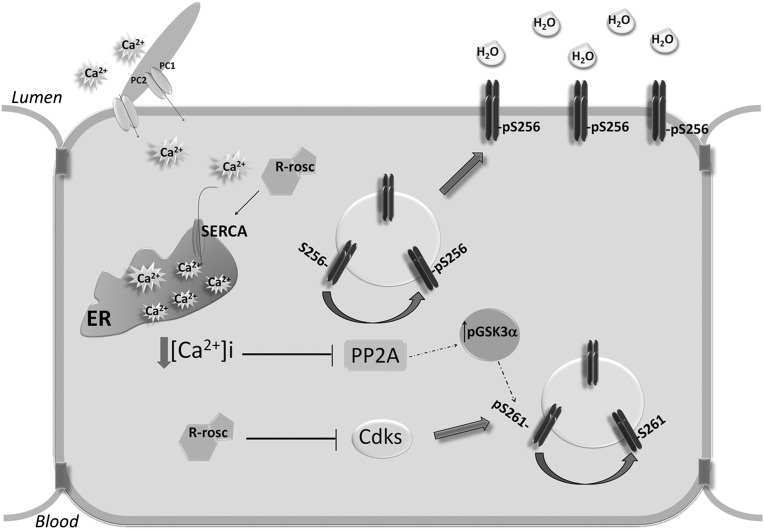 Figure 12.