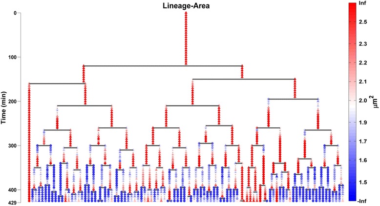 Fig. 13