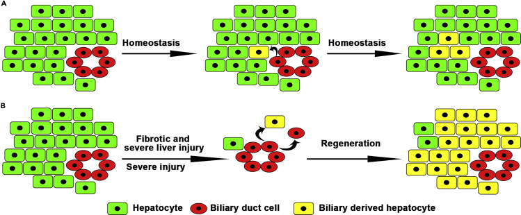 Figure 6