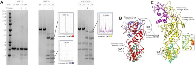 Figure 3.