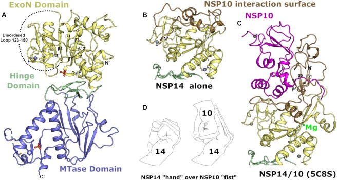 Figure 1.