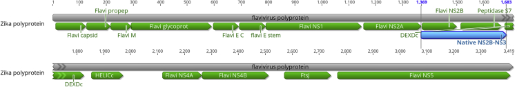 Figure 5