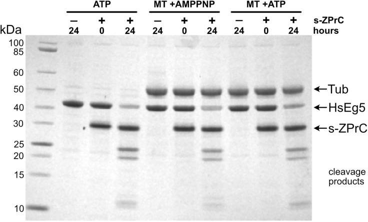 Figure 4