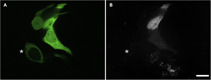 Figure 10