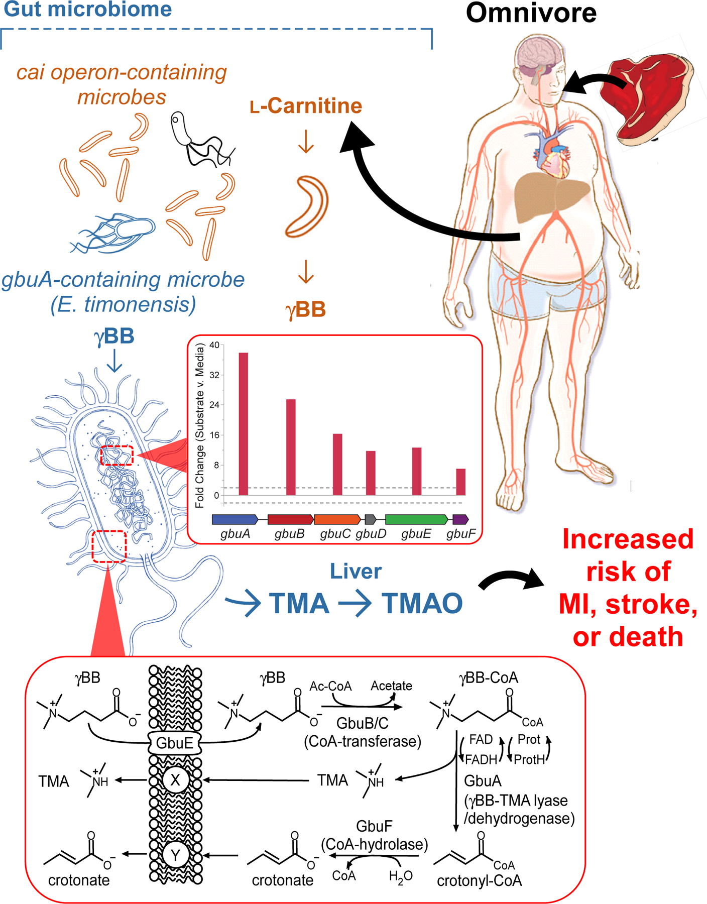 Figure 6.