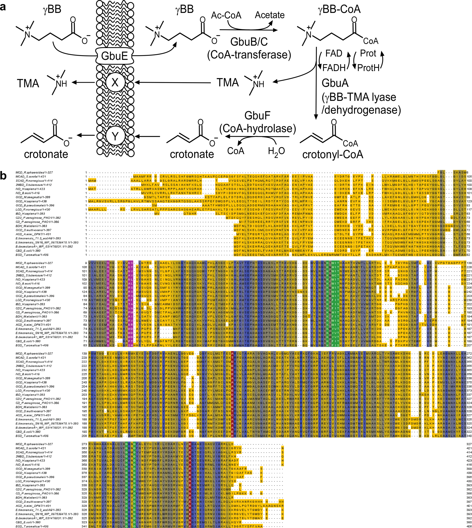 Extended Data Fig. 3