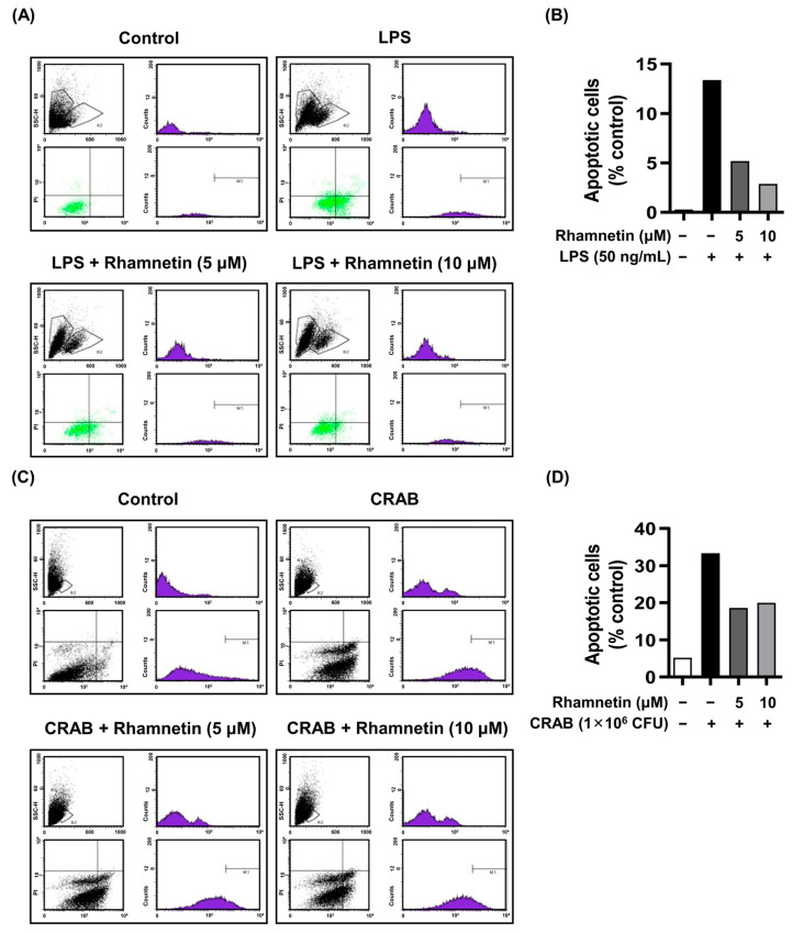 Figure 6