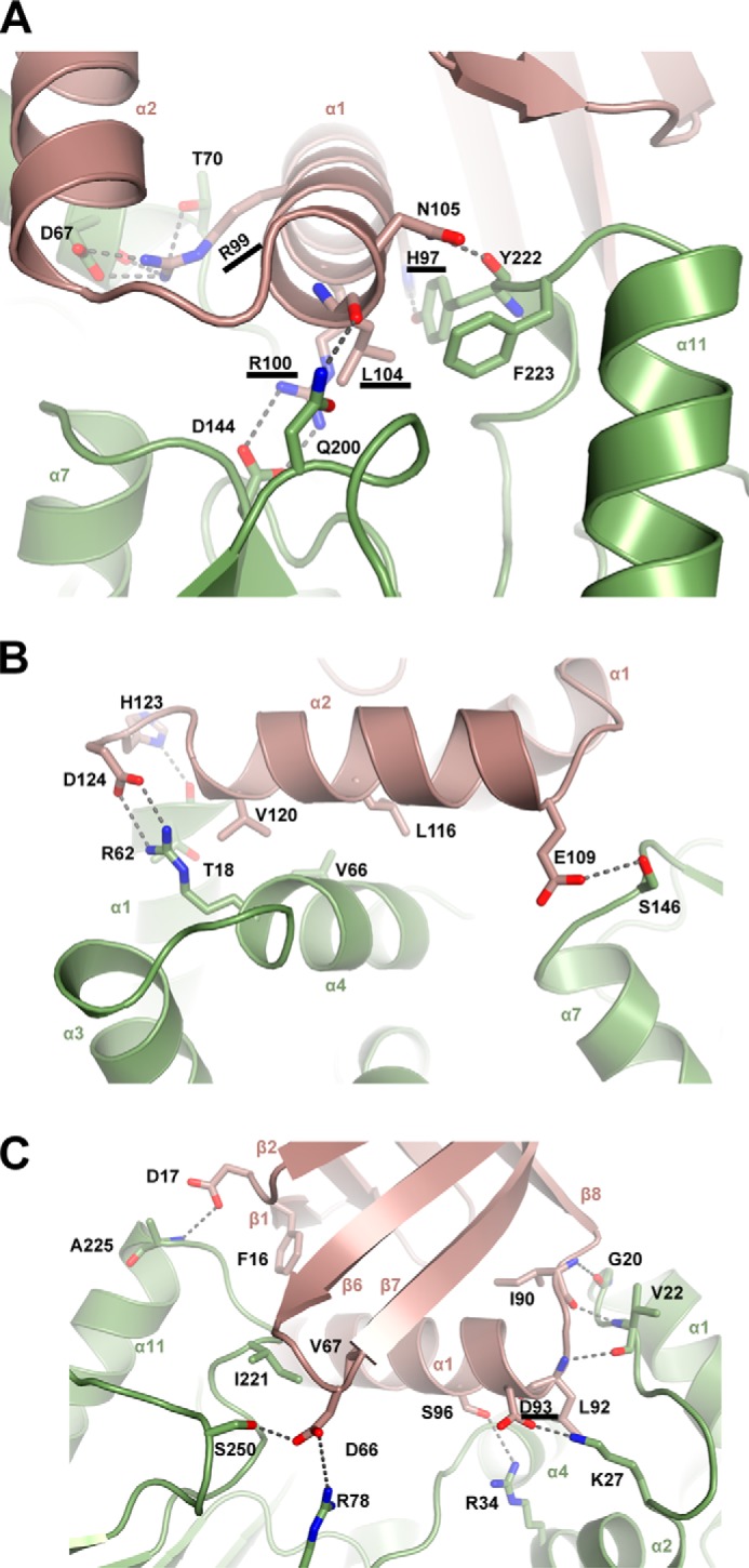 Figure 2.