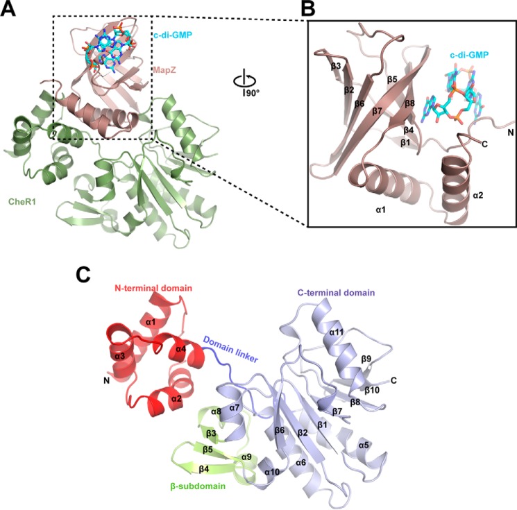 Figure 1.