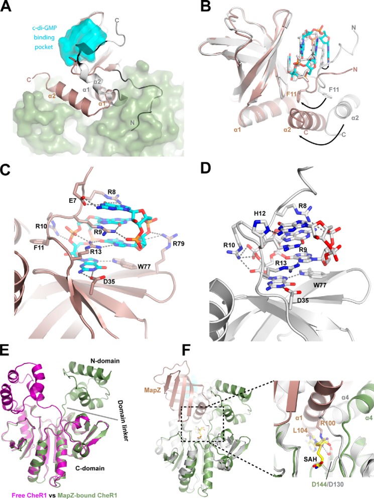 Figure 5.