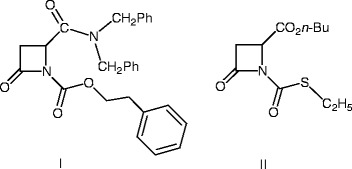 graphic file with name 978-3-642-12845-5_12_Fig36_HTML.jpg