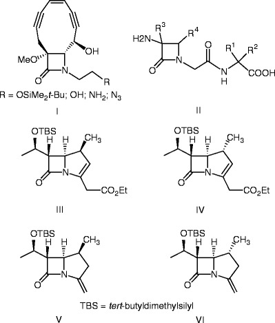 graphic file with name 978-3-642-12845-5_12_Fig11_HTML.jpg