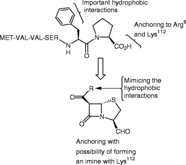 graphic file with name 978-3-642-12845-5_12_Fig30_HTML.jpg