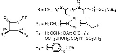 graphic file with name 978-3-642-12845-5_12_Fig31_HTML.jpg