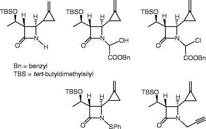 graphic file with name 978-3-642-12845-5_12_Fig4_HTML.jpg