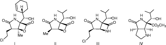 graphic file with name 978-3-642-12845-5_12_Fig47_HTML.jpg