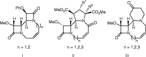 graphic file with name 978-3-642-12845-5_12_Fig13_HTML.jpg