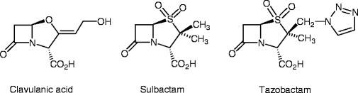 graphic file with name 978-3-642-12845-5_12_Fig28_HTML.jpg