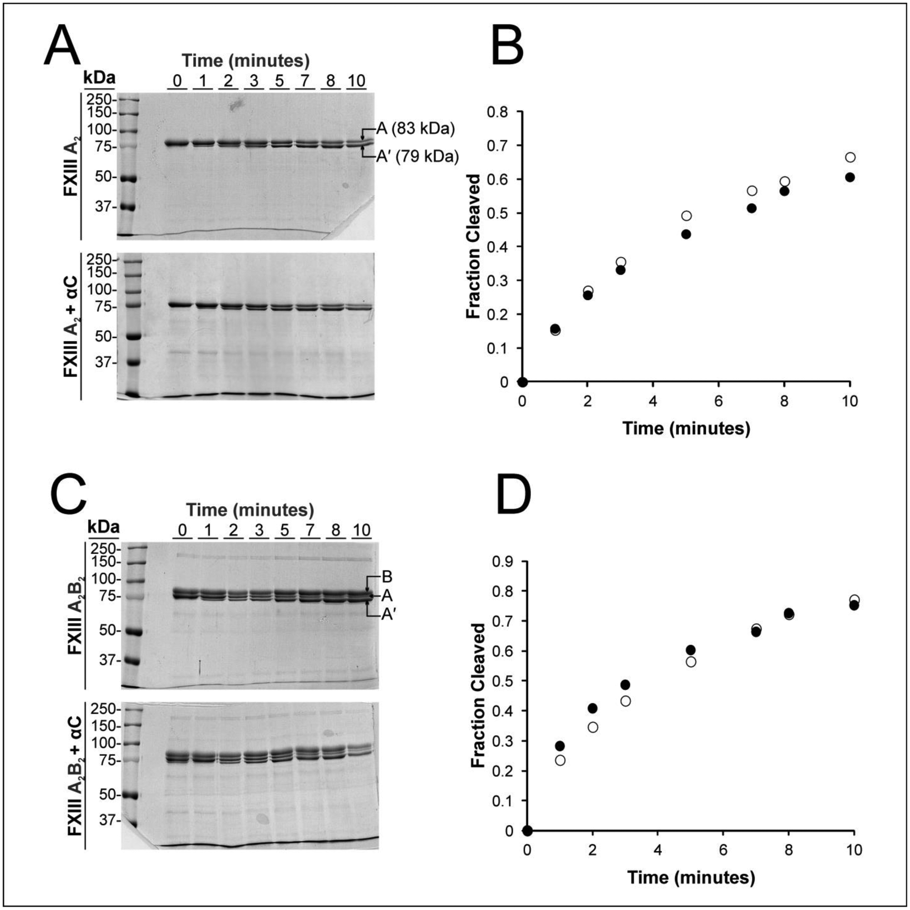 Figure 4: