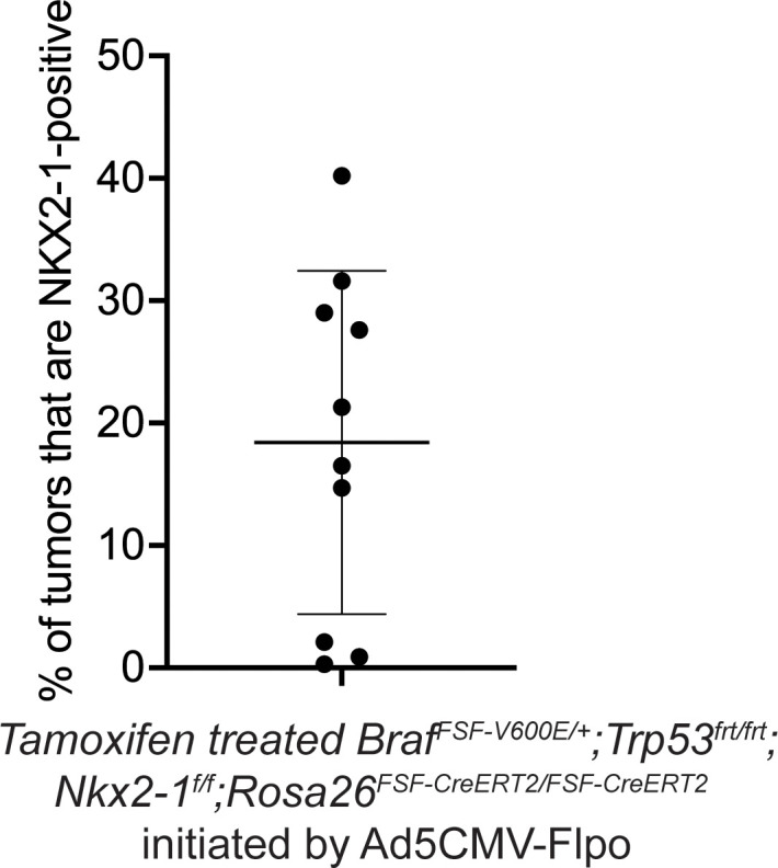 Figure 2—figure supplement 2.