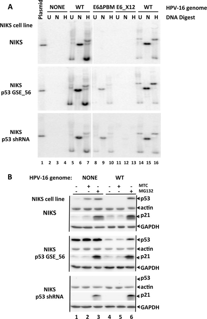 FIG 1