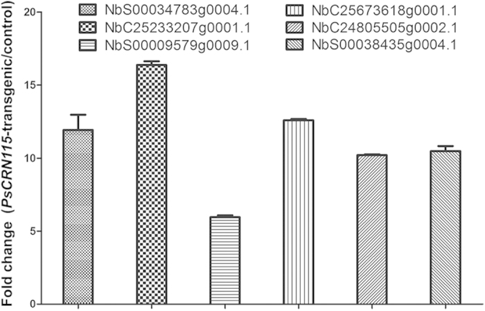 Figure 7