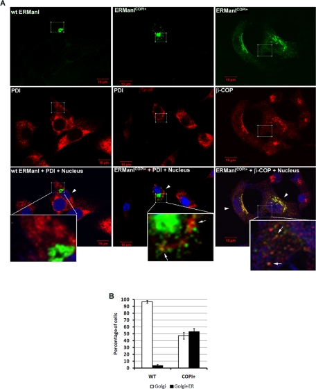 FIGURE 6: