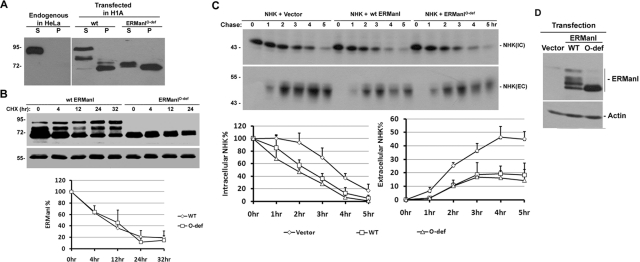 FIGURE 5: