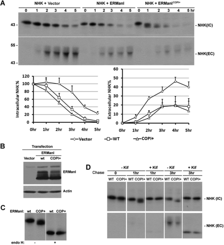 FIGURE 7: