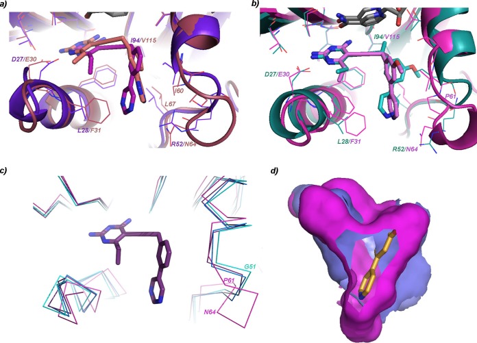 FIG 2