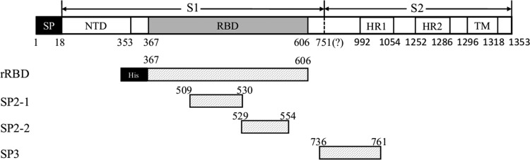 FIG. 1.