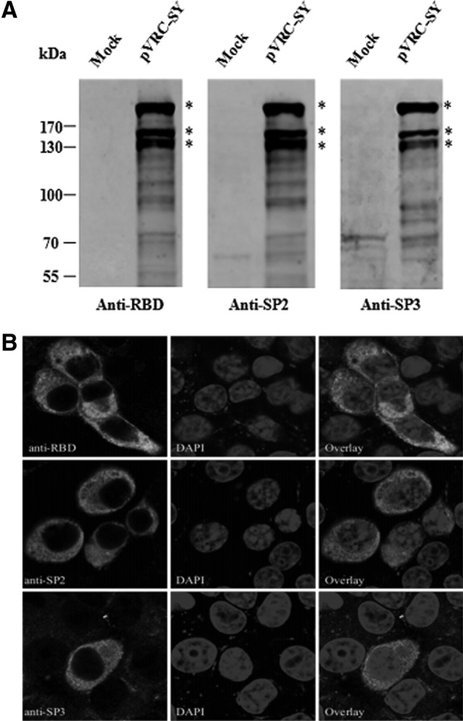 FIG. 3.