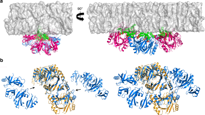 Fig. 8