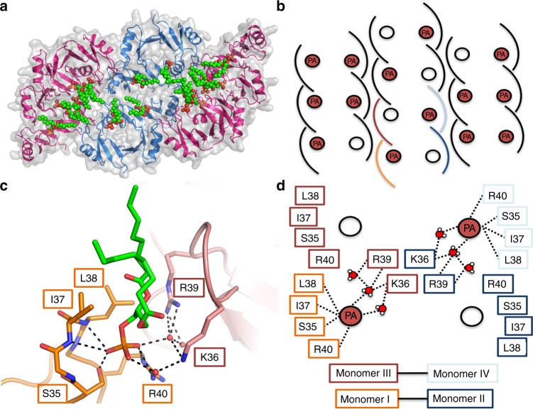 Fig. 4