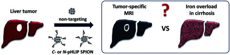 graphic file with name c9ra02430a-ga.jpg