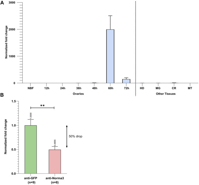 FIGURE 3