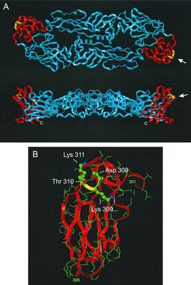 FIG. 1