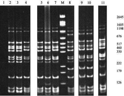 FIG. 5.