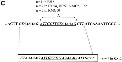 FIG. 2.