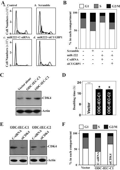 FIGURE 9: