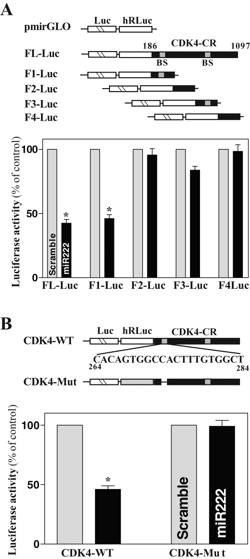 FIGURE 6: