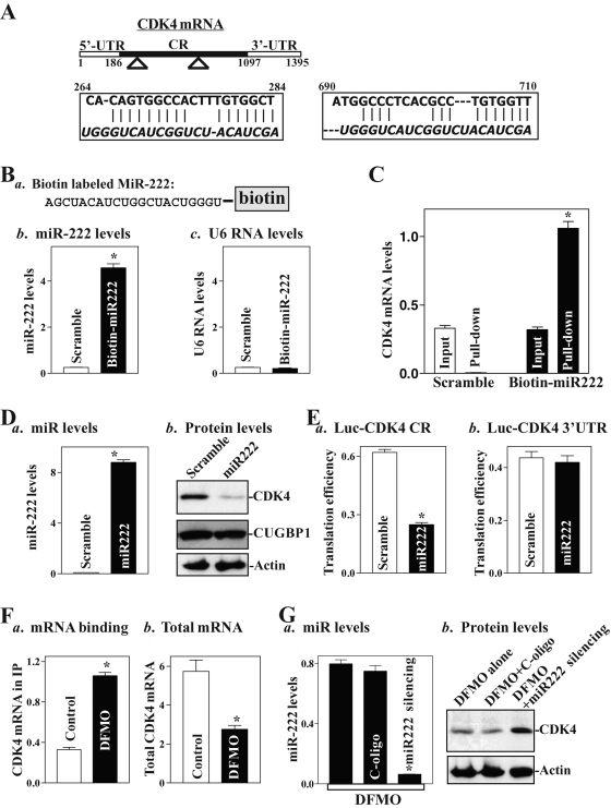 FIGURE 5: