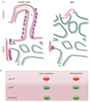 Extended Data Figure 1