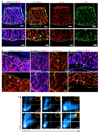 Extended Data Figure 5