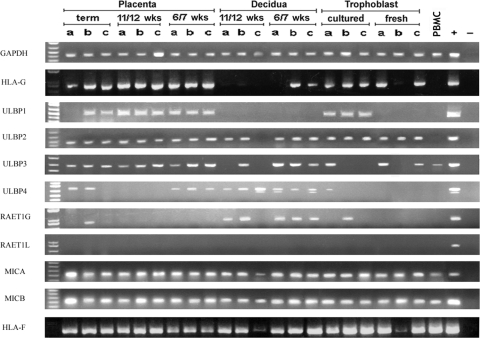 Figure 2: