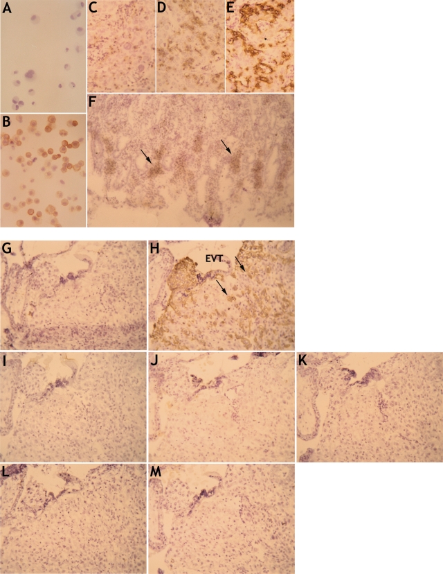 Figure 4: