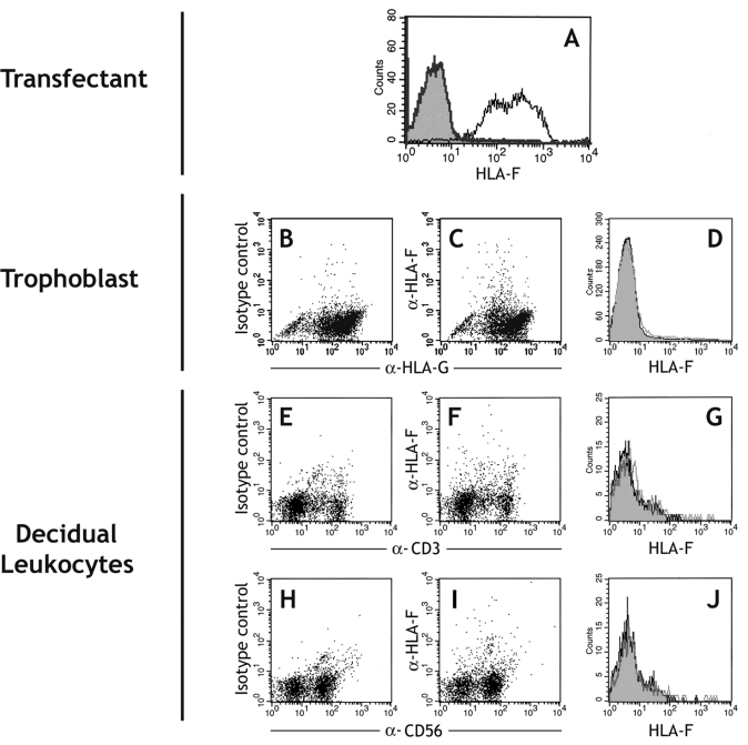 Figure 6: