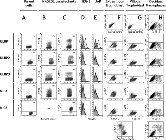 Figure 3: