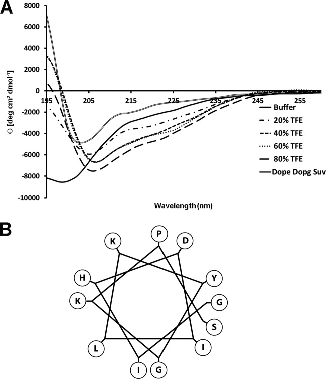 FIG 1