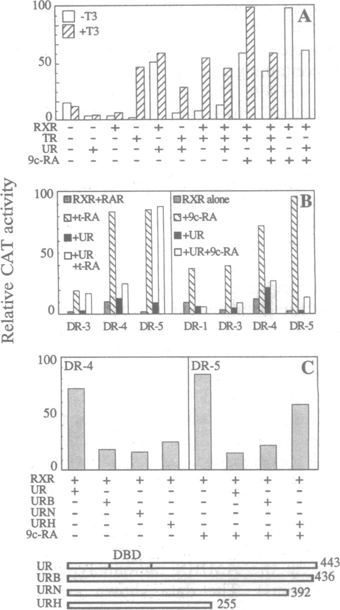 graphic file with name pnas01145-0063-a.jpg